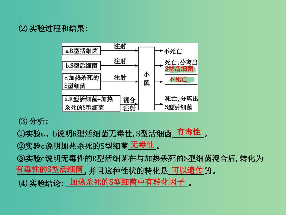 高中生物第六单元遗传的分子基础第17讲DNA是主要的遗传物质课件.ppt_第4页