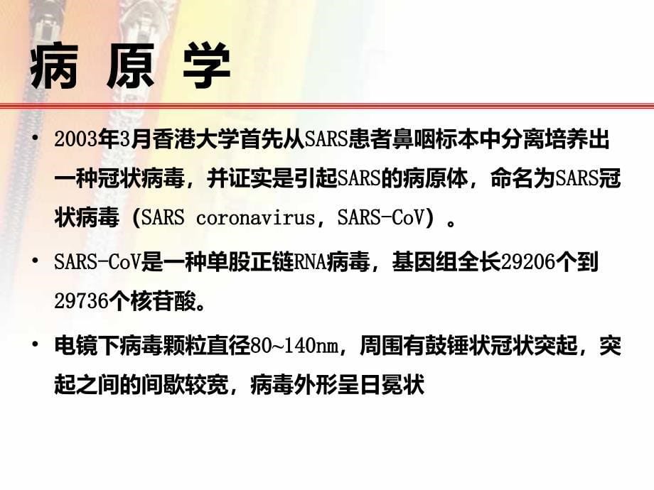 5严重急性呼吸综合征_第5页