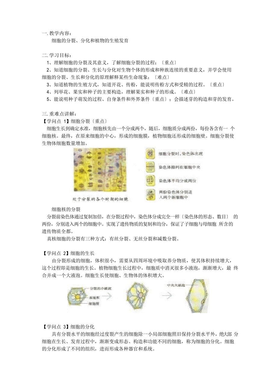 植物种子萌发实验报告_第5页