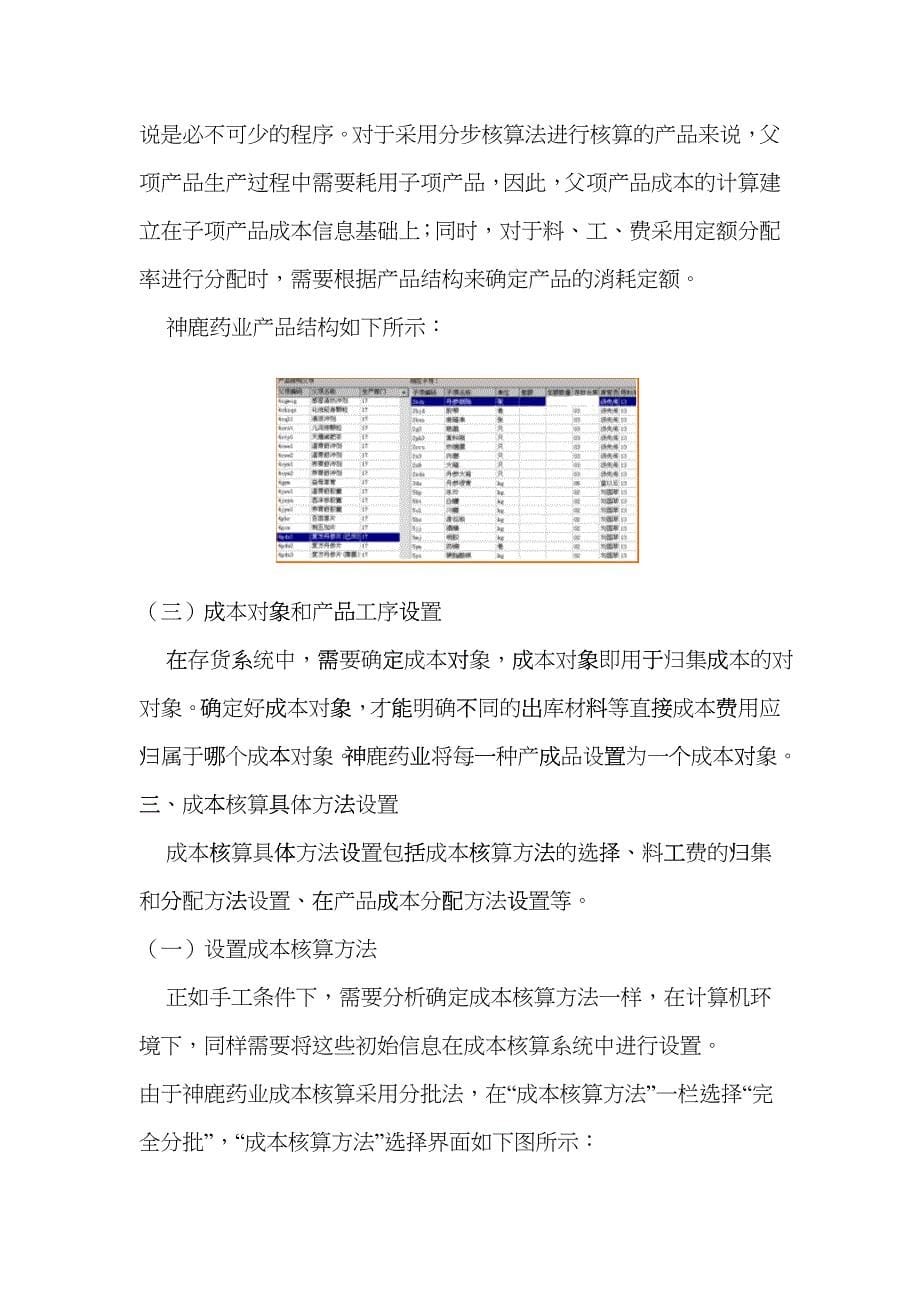 合肥神鹿药业成本管理应用案例解析cztd_第5页