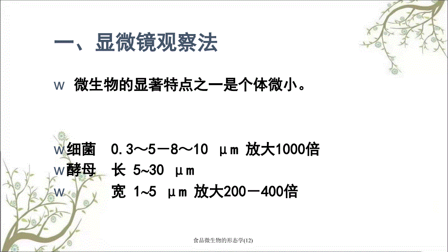 食品微生物的形态学(12)_第4页