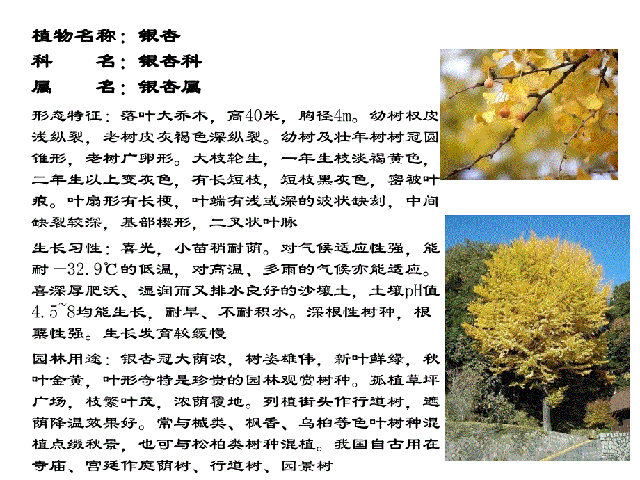 园林植物学习课件_第3页