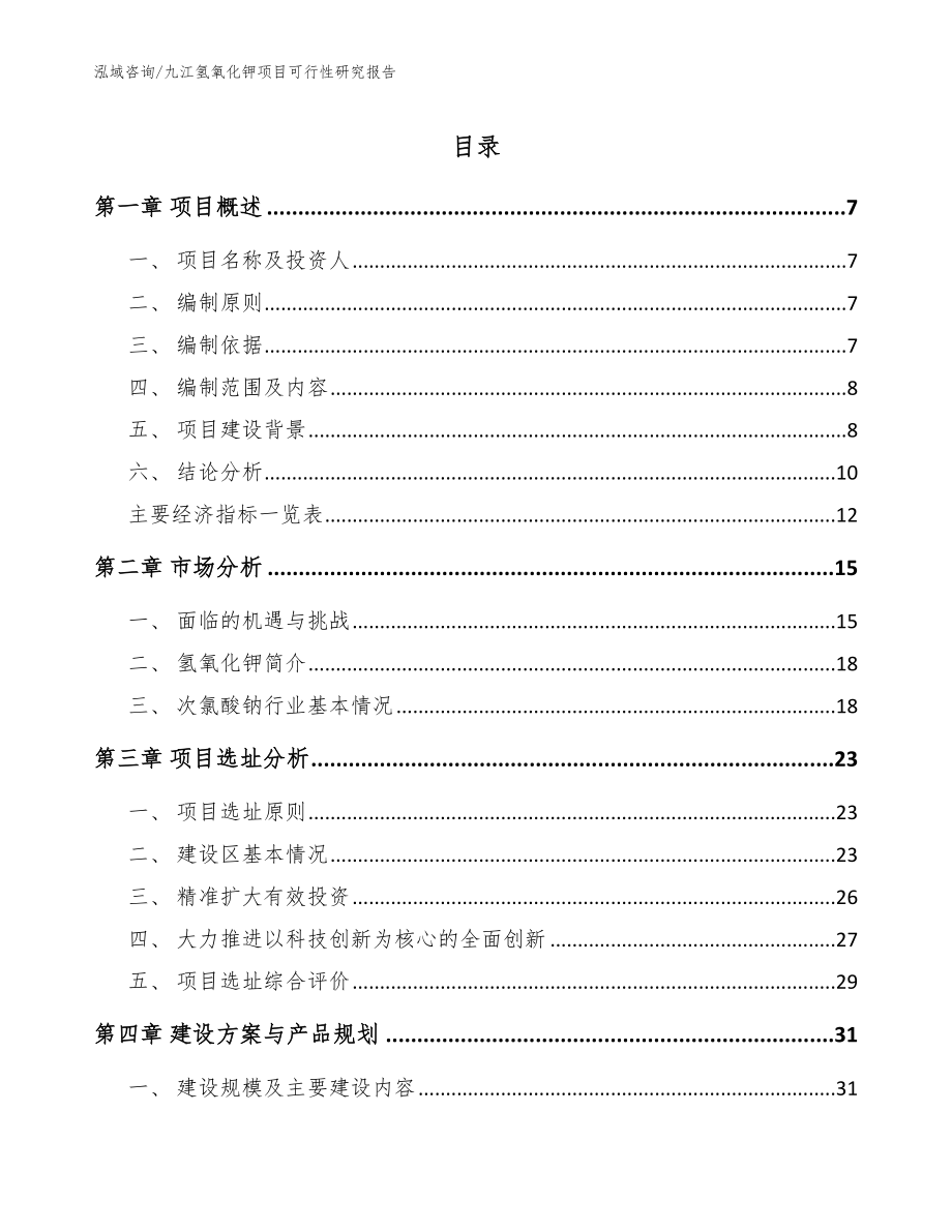 九江氢氧化钾项目可行性研究报告【模板范文】_第1页