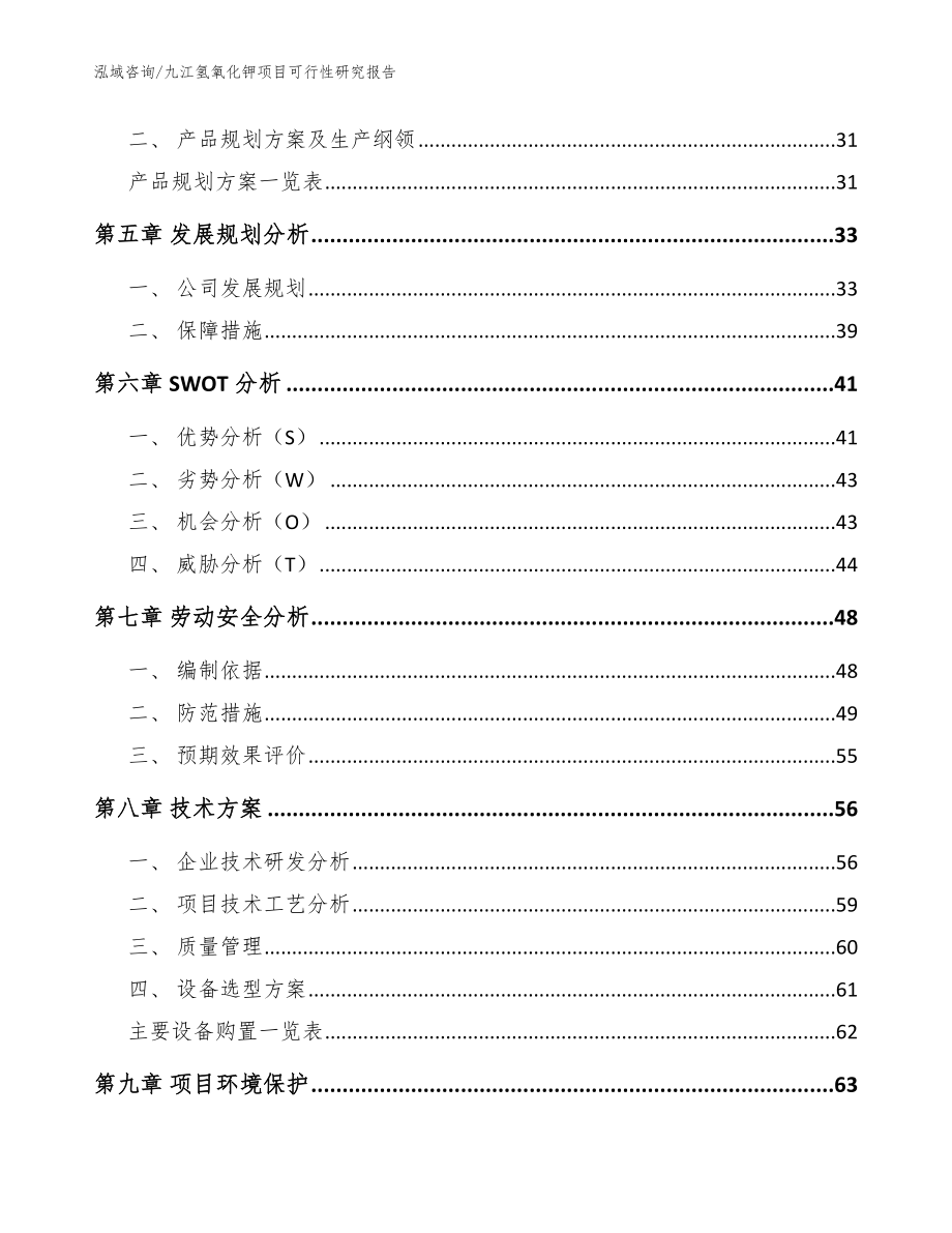 九江氢氧化钾项目可行性研究报告【模板范文】_第2页