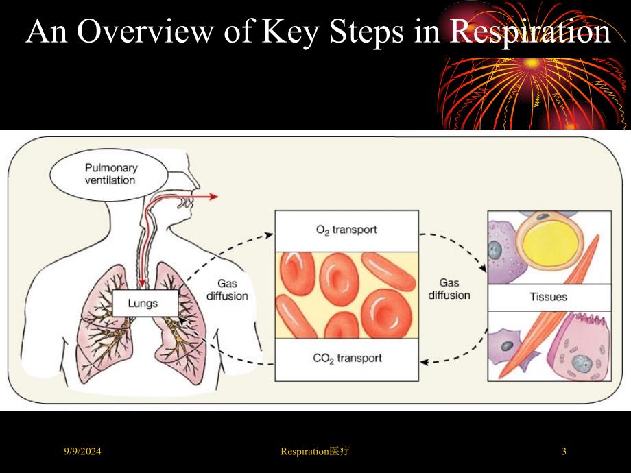 Respiration医疗培训课件_第3页