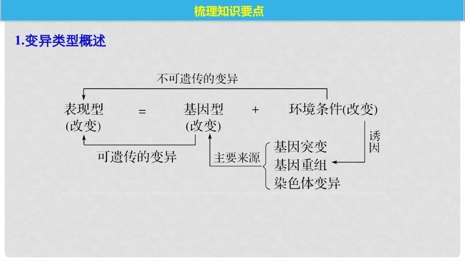 高考生物一轮复习 第7单元 生物的变异、育种和进化 第23讲 基因突变和基因重组课件_第5页