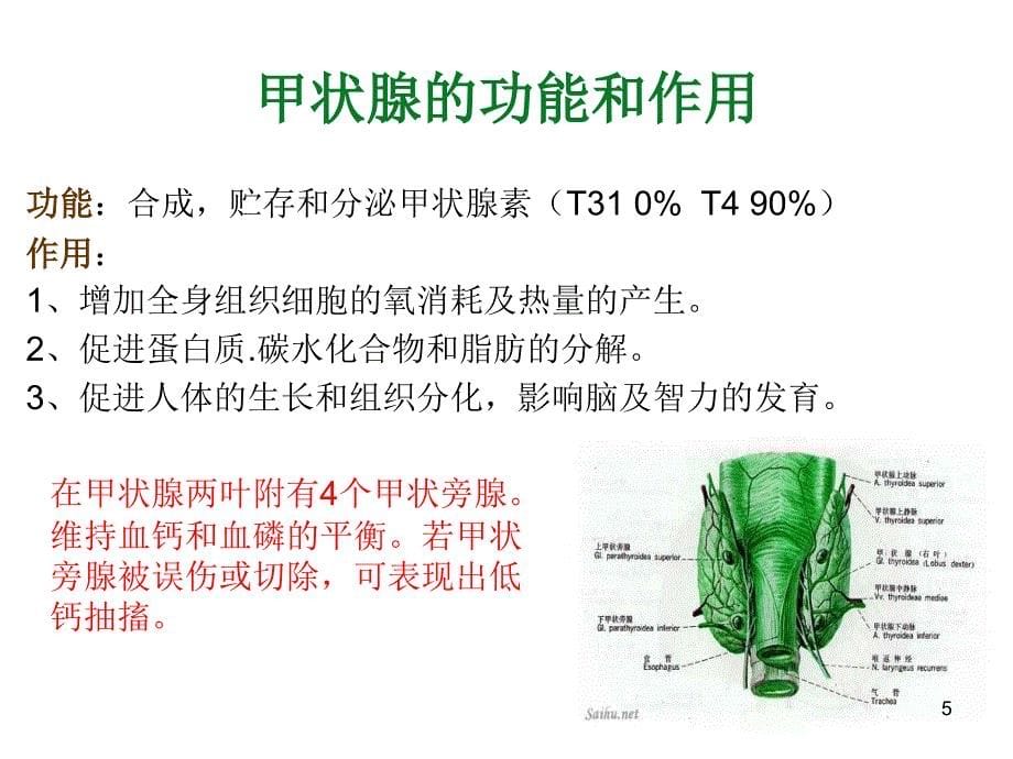 甲状腺腺瘤护理查房PPT参考课件_第5页