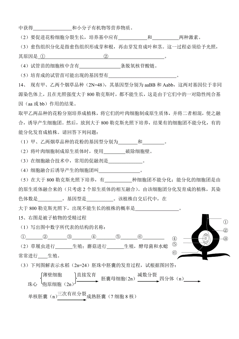 3.2月季的花药培养教学案肖婷_第4页