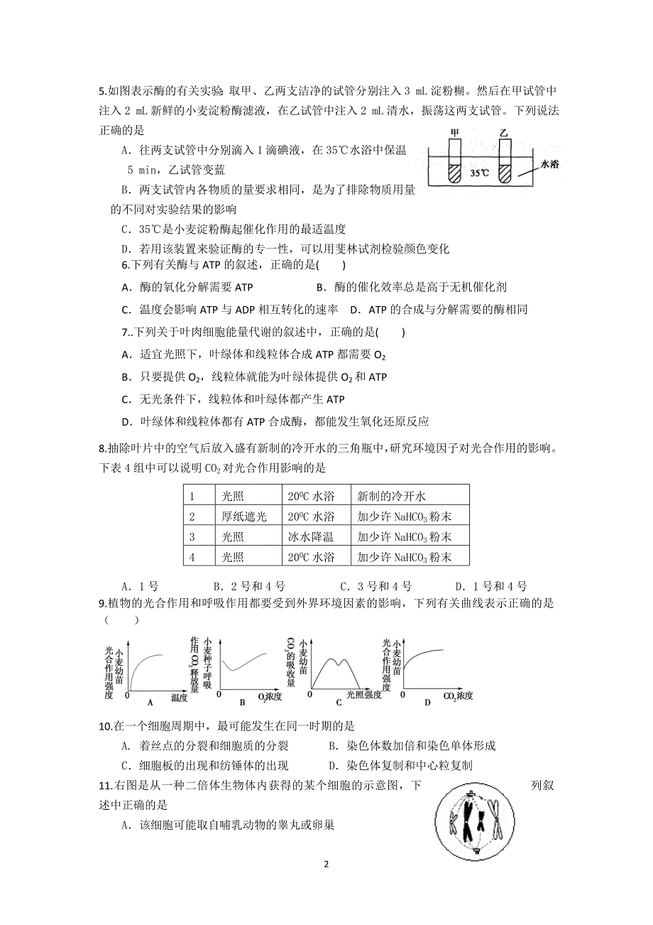 高二生物期末综合测试二.doc_第2页