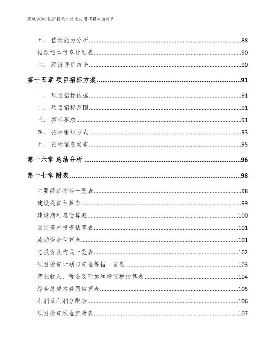 临沂颗粒硅技术应用项目申请报告【参考范文】_第5页