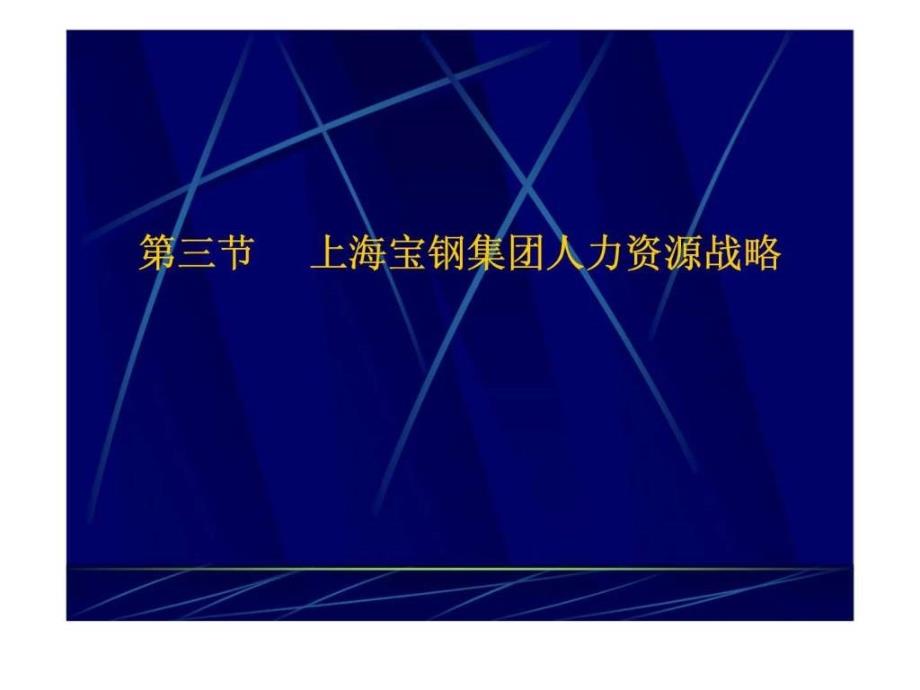 上海某集团人力资源战略48课件_第1页