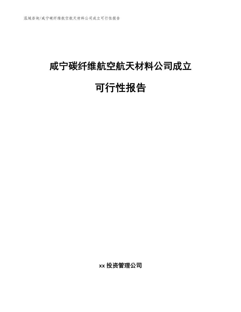 咸宁碳纤维航空航天材料公司成立可行性报告_模板_第1页