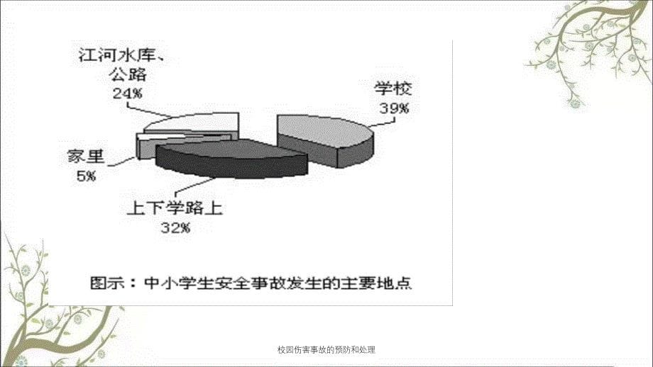 校园伤害事故的预防和处理_第5页