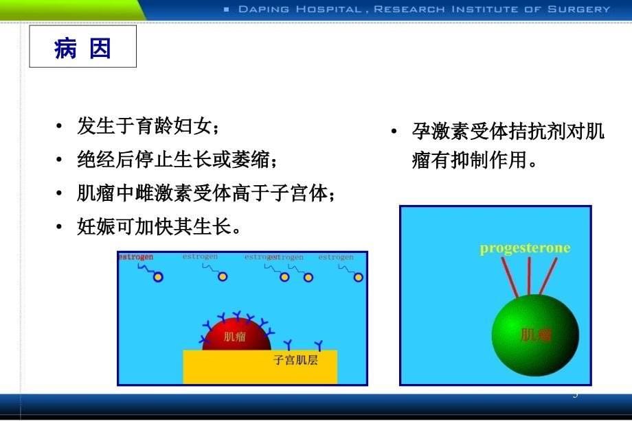 子宫肿瘤课件._第5页