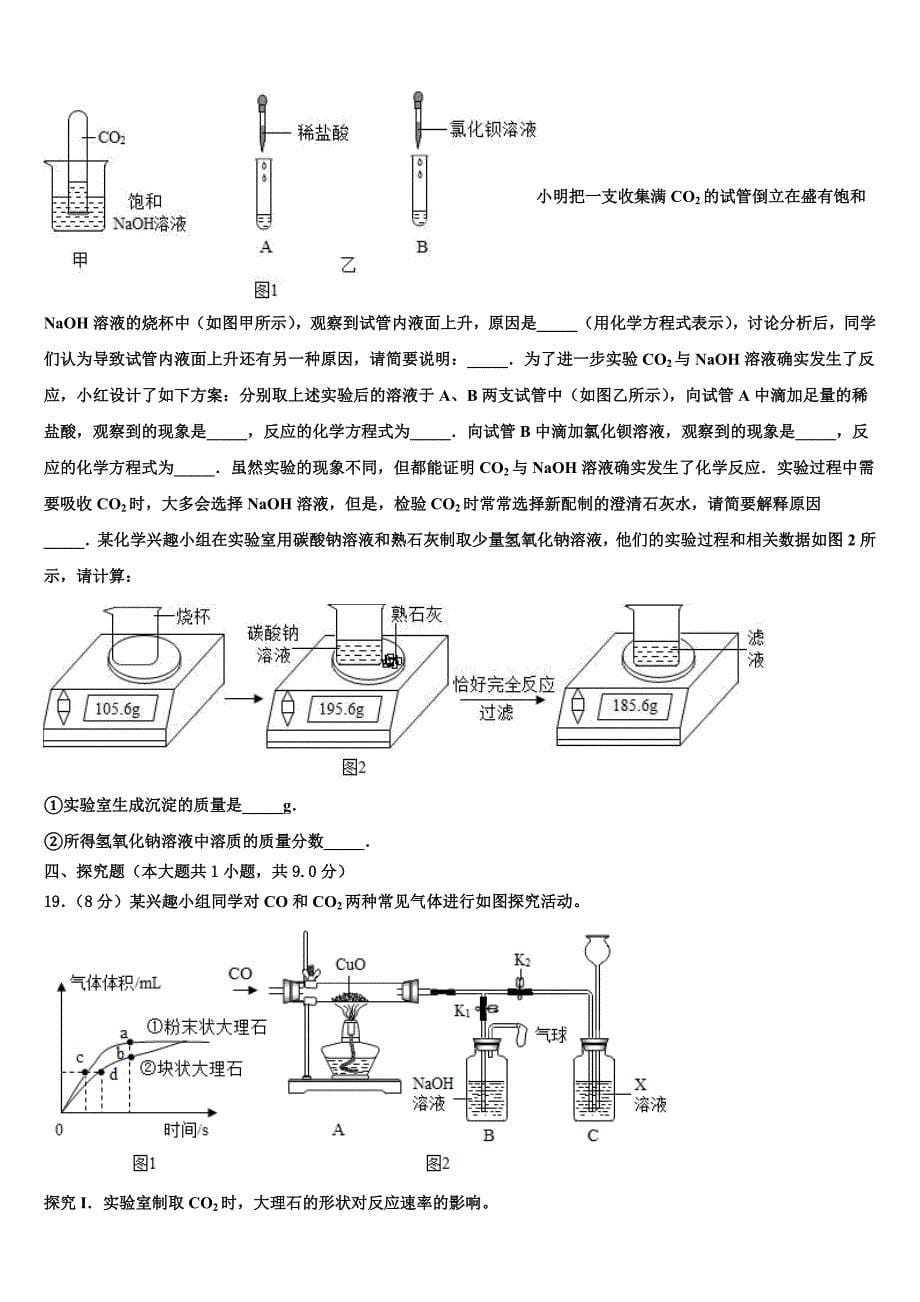 2023年福建省仙游县中考试题猜想化学试卷（含答案解析）.doc_第5页