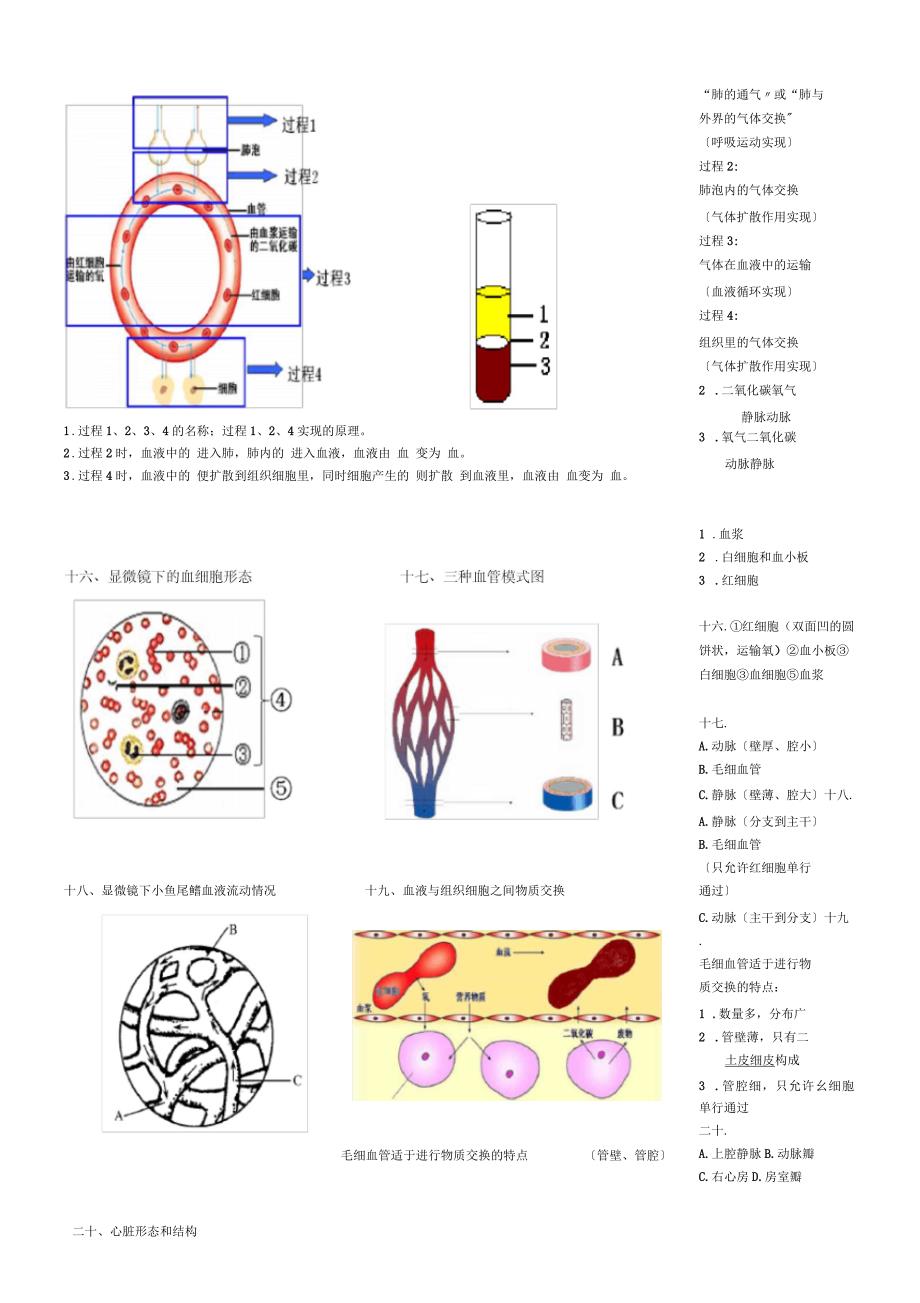 生物七下识图练习(带答案)_第3页