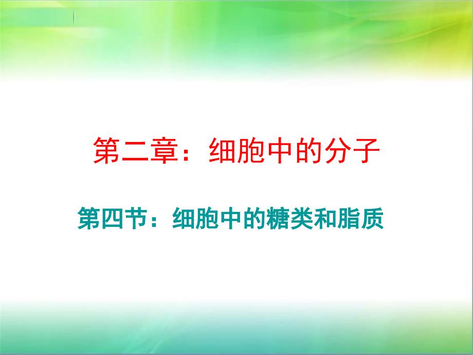 细胞中的糖类和脂质课件ppt_第1页