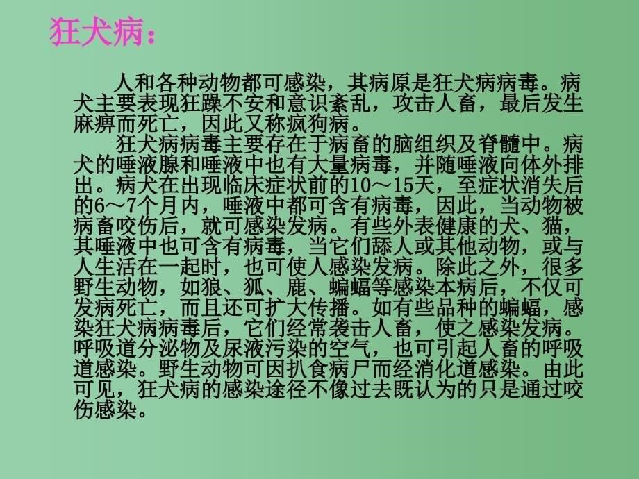 四年级语文下册第3单元10巴斯德征服狂犬病课件5语文S版_第5页