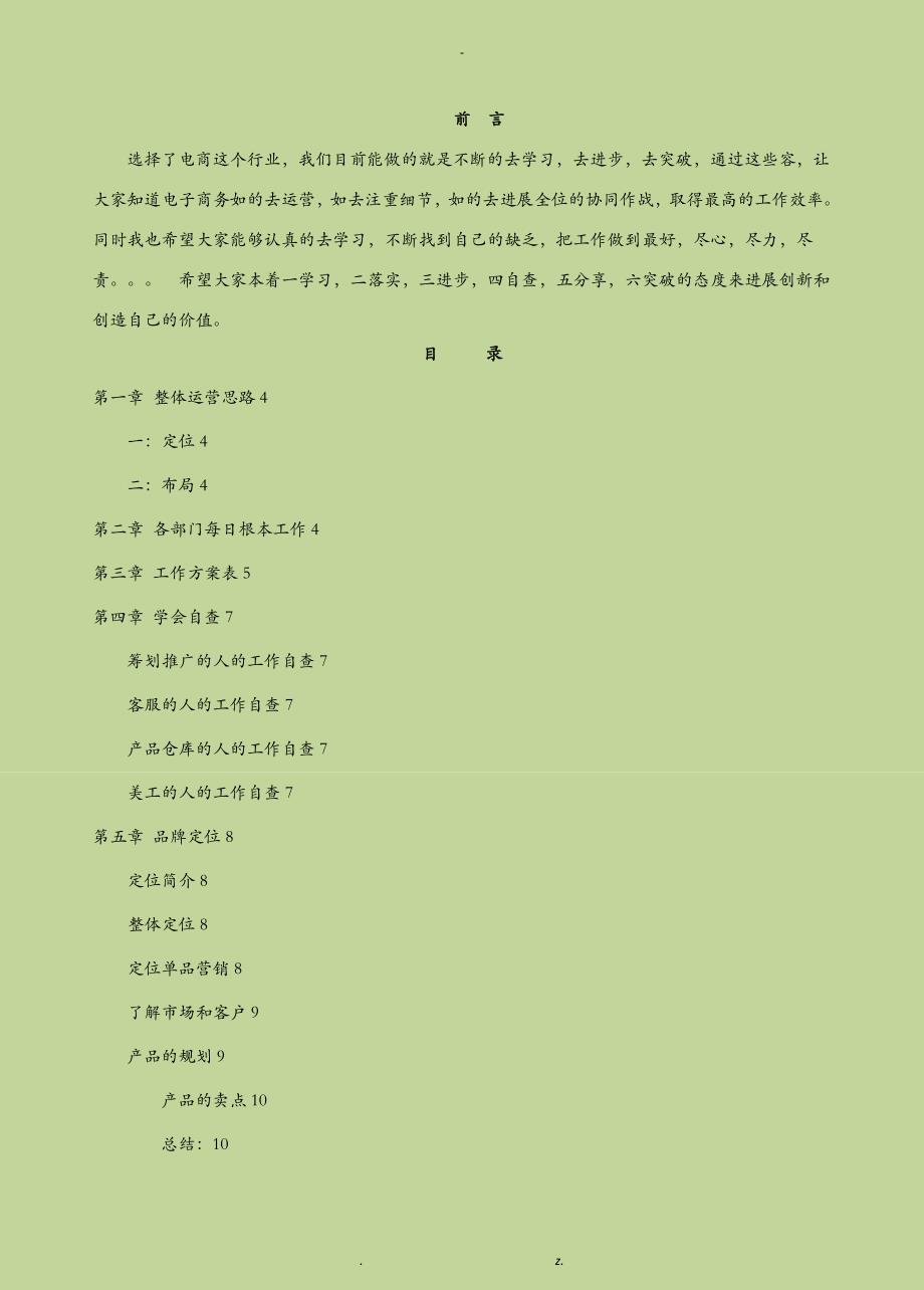 电商运营管理手册_第1页