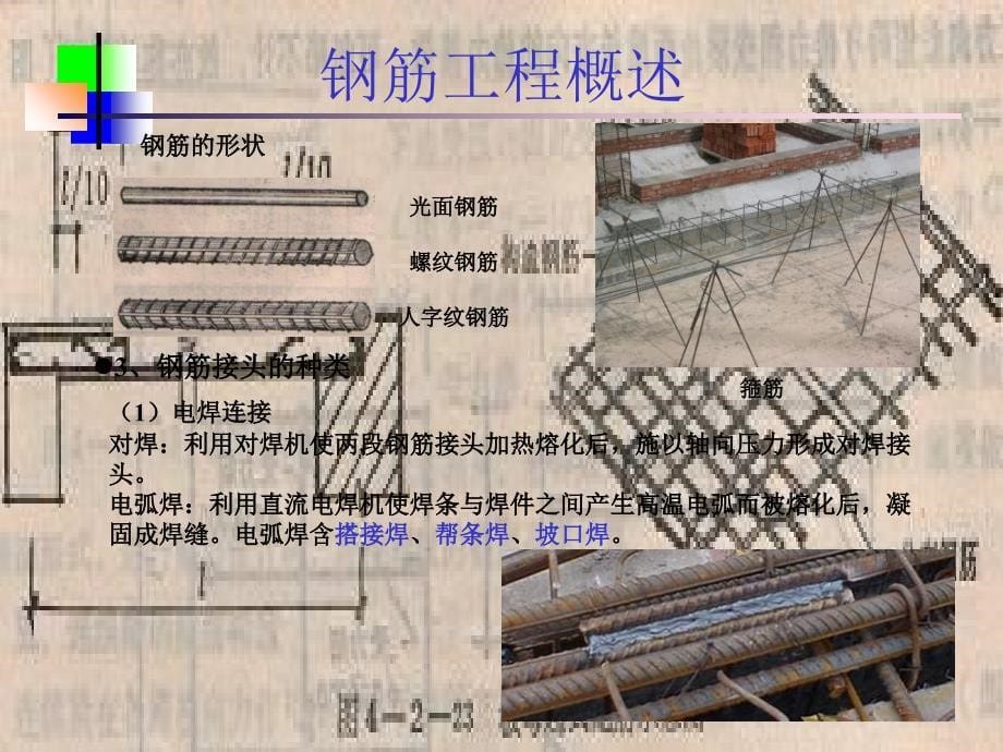 任务7主体工程的工程量计算钢筋_第5页