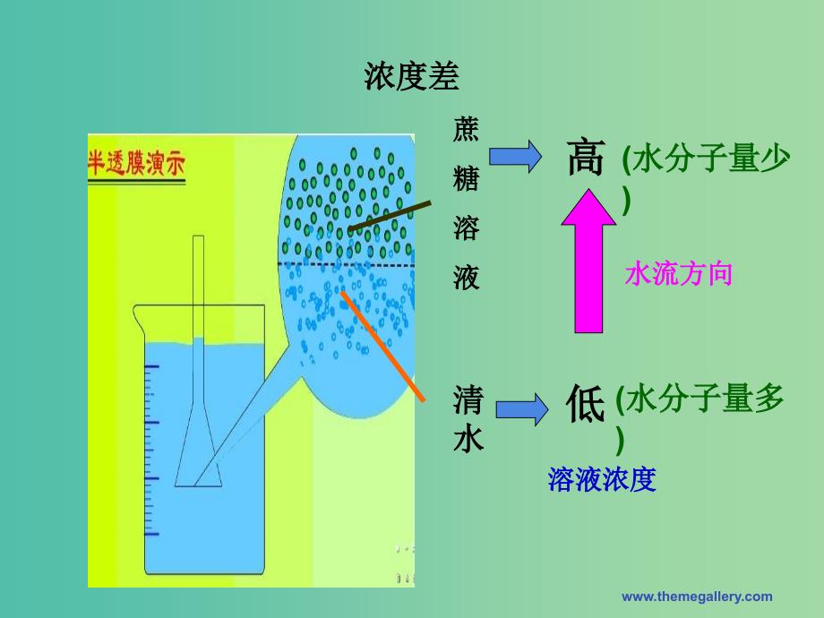 高中生物《4.1 物质跨膜运输的实例》课件（二）新人教版必修1.ppt_第4页