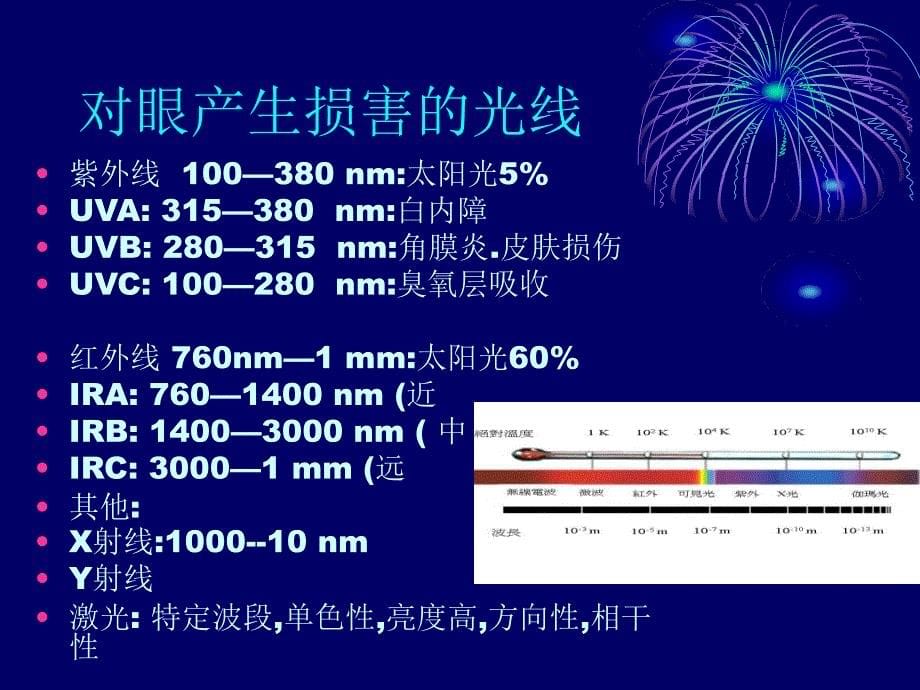 眼镜与安全防护_第5页