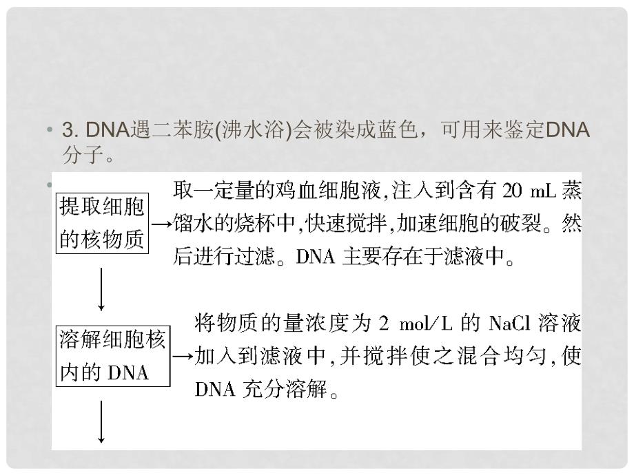 高三生物一轮复习实验大全 实验31课件_第3页