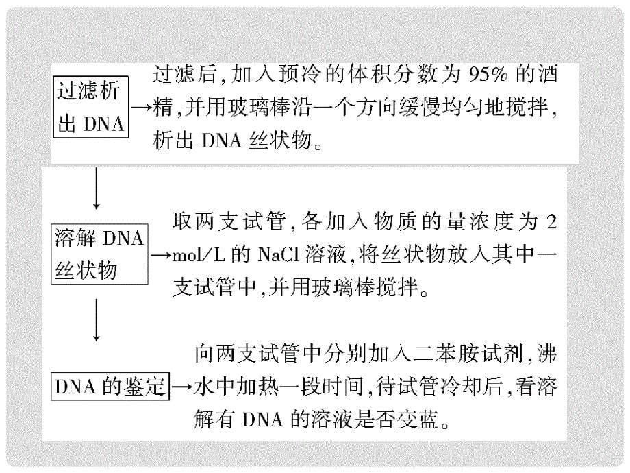 高三生物一轮复习实验大全 实验31课件_第5页