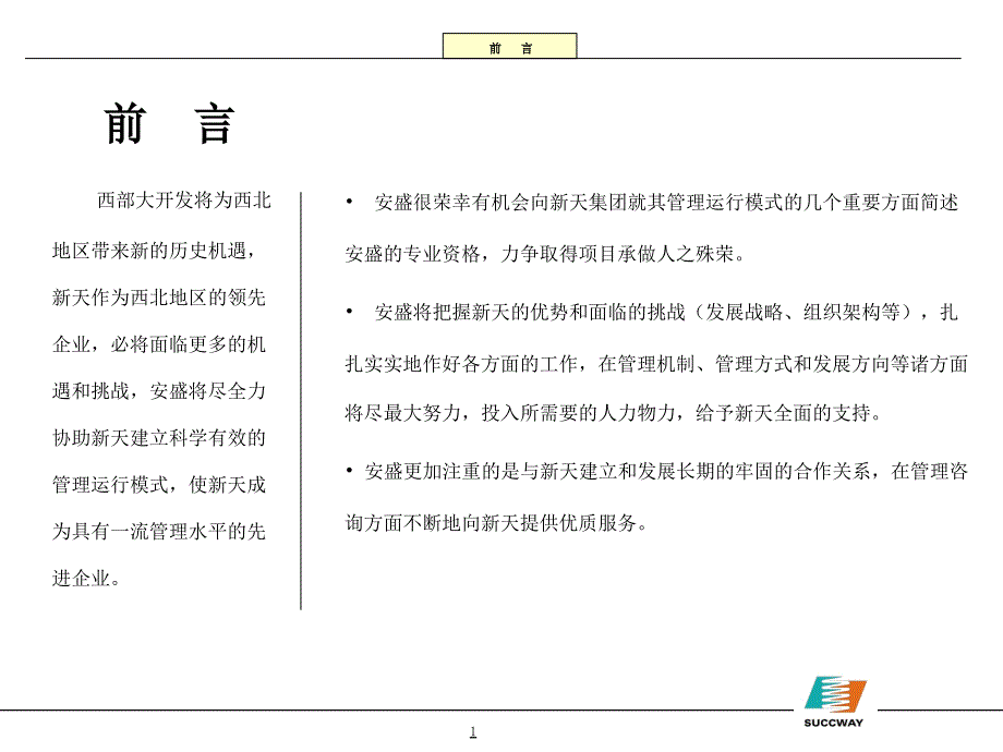 某国际经济技术集团有限公司项目建议书_第2页