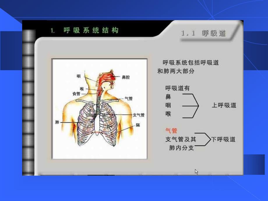 医学专题：咳嗽咳痰、咯血_第2页