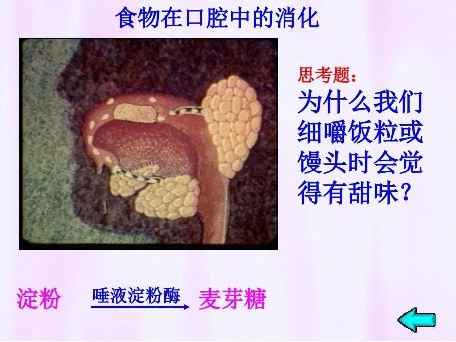 湖南省师大附中高中生物 小肠吸收课件 新人教版必修2_第5页