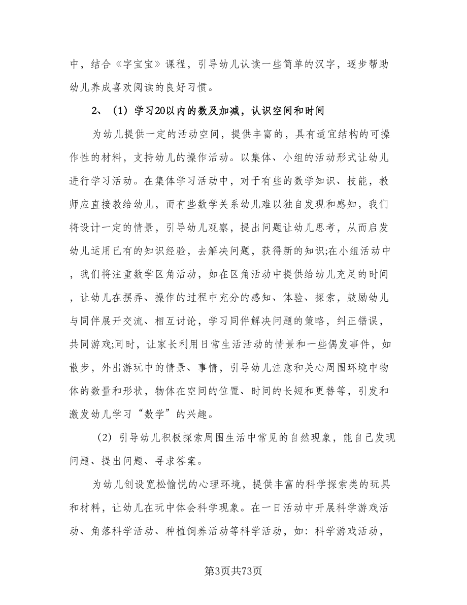 大班学期教学计划大班下学期教学计划范文（八篇）.doc_第3页