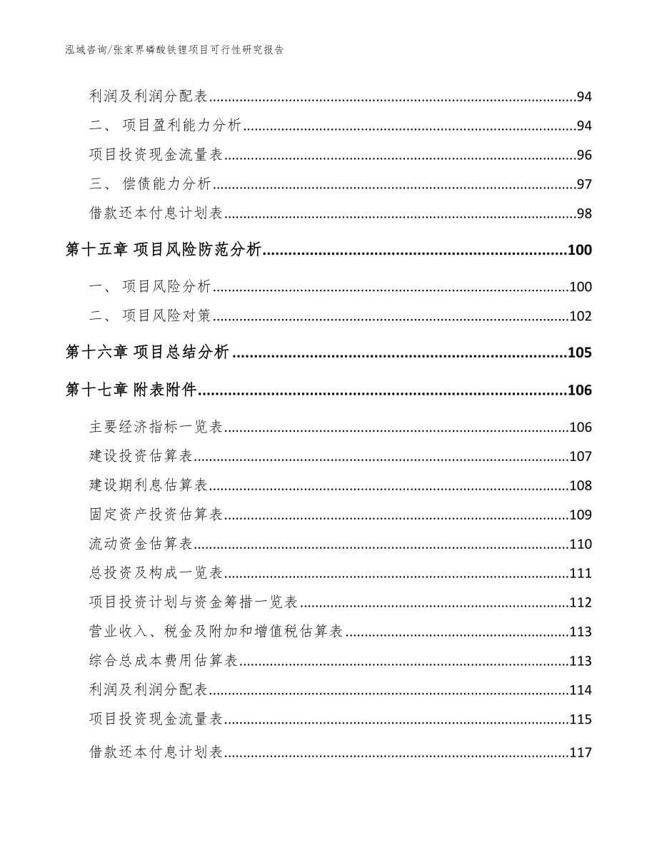 张家界磷酸铁锂项目可行性研究报告_第5页