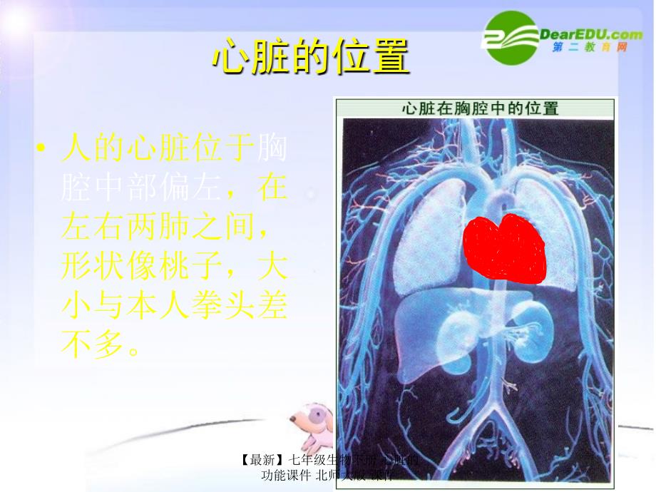 最新七年级生物下册心脏的功能课件北师大版课件_第2页