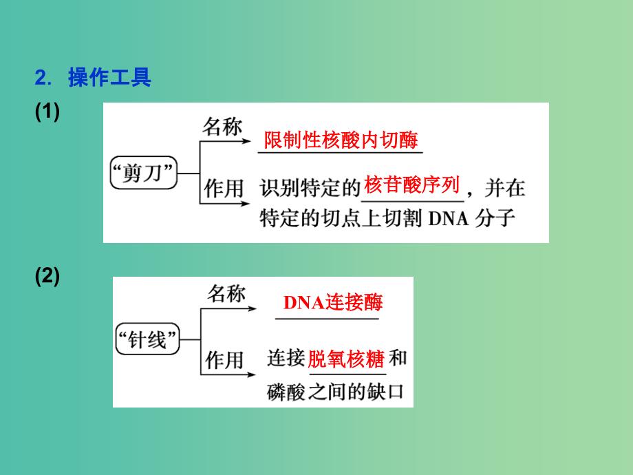 高中生物 第六章 从杂交育种到基因工程 第2节 基因工程及其应用课件 新人教版必修2.ppt_第4页