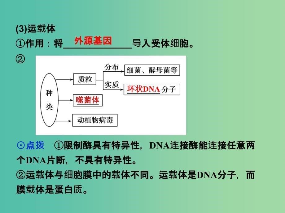 高中生物 第六章 从杂交育种到基因工程 第2节 基因工程及其应用课件 新人教版必修2.ppt_第5页