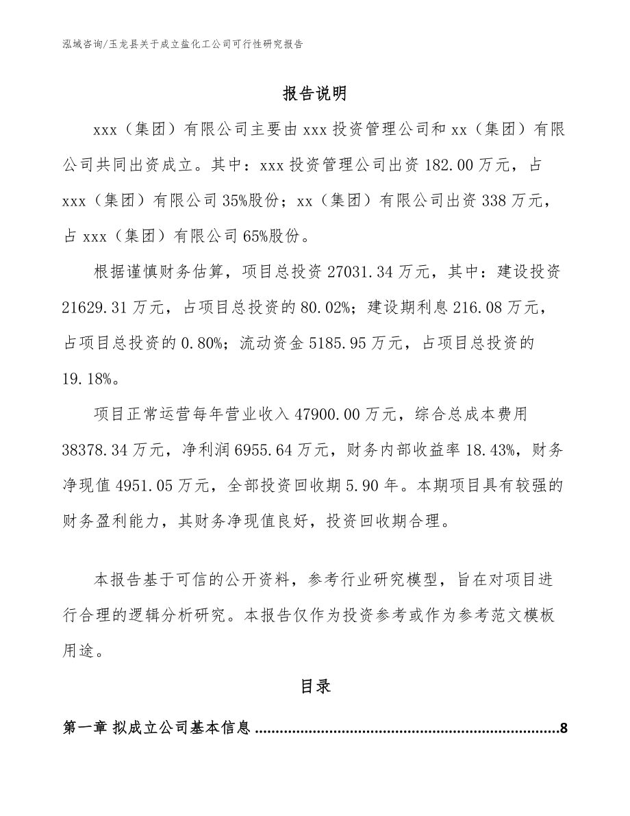 玉龙县关于成立盐化工公司可行性研究报告范文参考_第2页