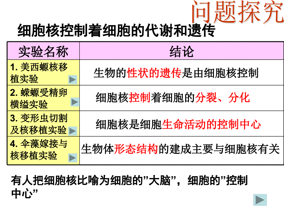 第3节细胞核——系统的控制中心_第4页