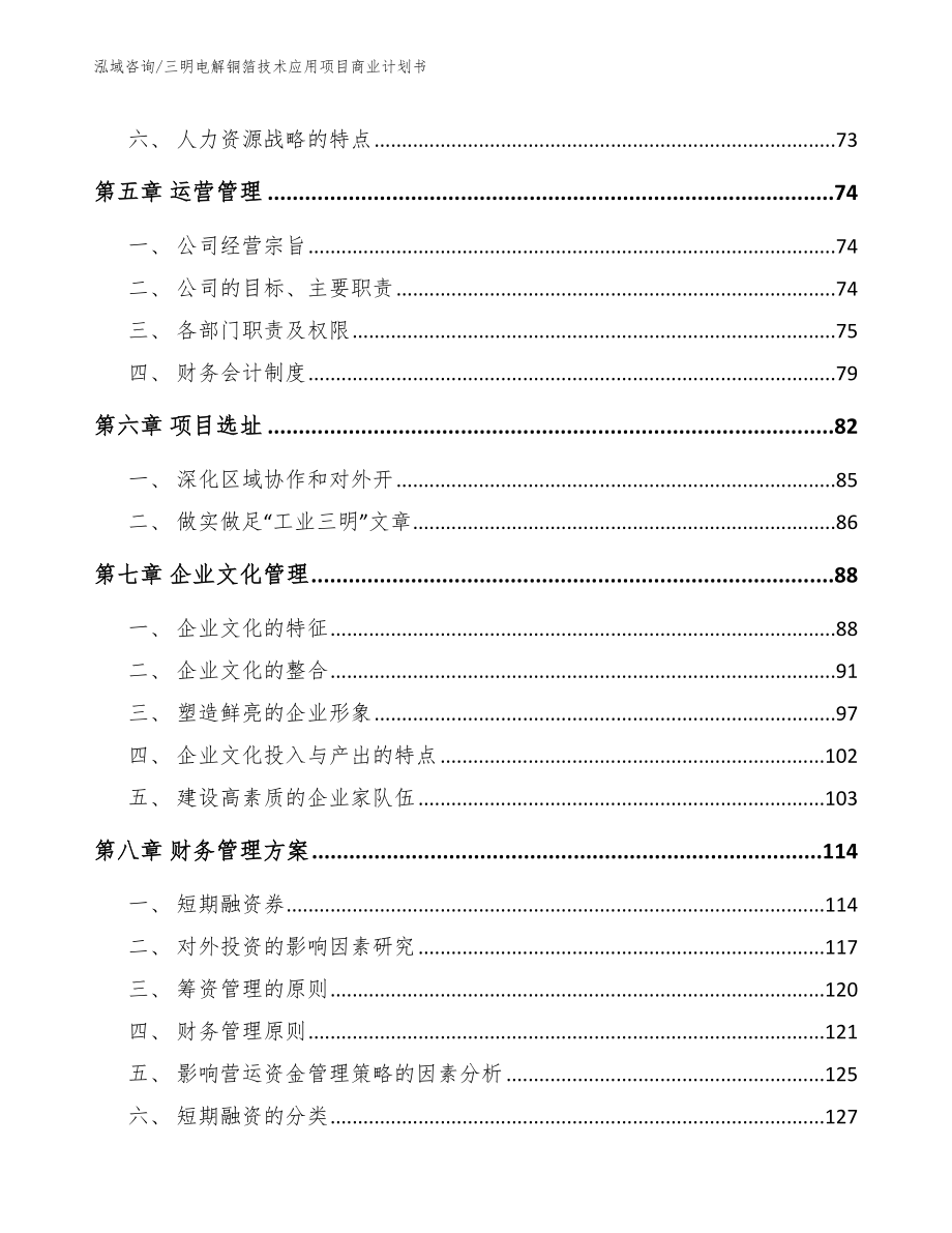 三明电解铜箔技术应用项目商业计划书_模板参考_第5页