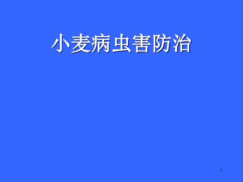 小麦病虫害防治PPT精品文档_第1页