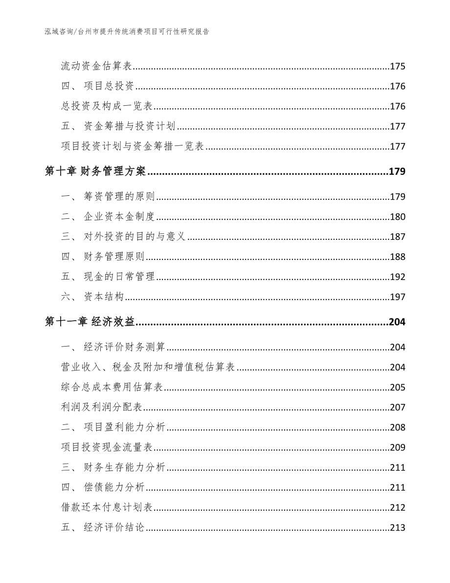 台州市提升传统消费项目可行性研究报告_第5页