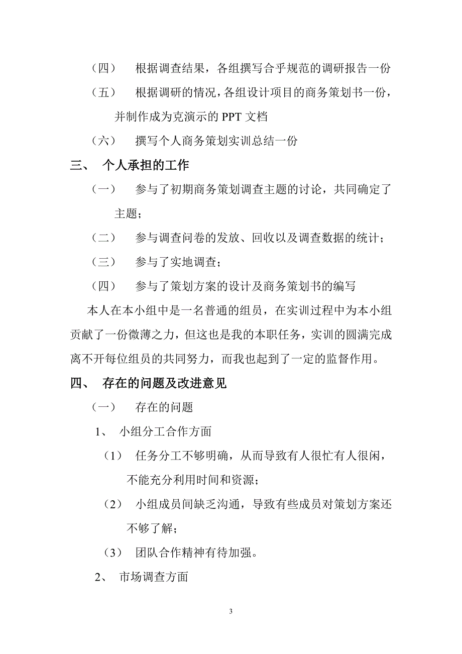 商务策划实训个人总结文档.doc_第3页