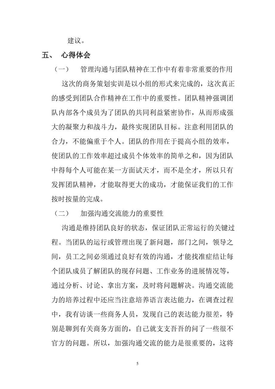 商务策划实训个人总结文档.doc_第5页