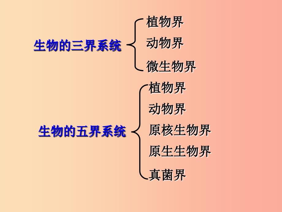 八年级生物上册 6.1.2《从种到界》课件3 新人教版.ppt_第2页