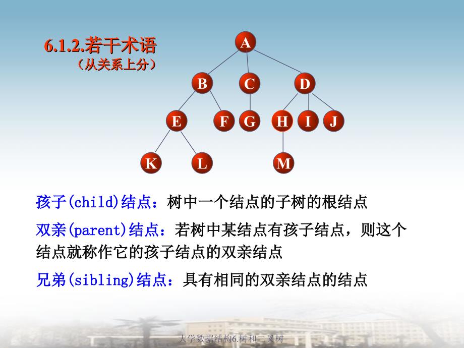 大学数据结构6.树和二叉树课件_第4页