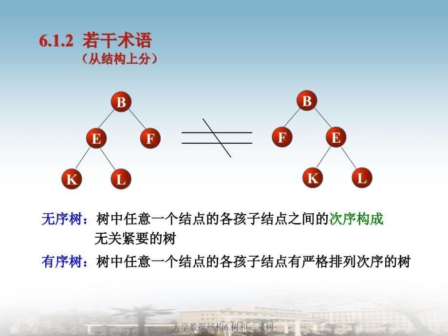 大学数据结构6.树和二叉树课件_第5页