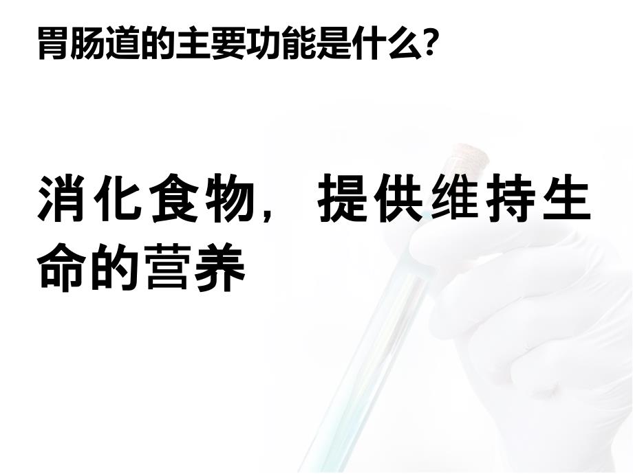 医学专题：胃动力药和止吐药_第2页