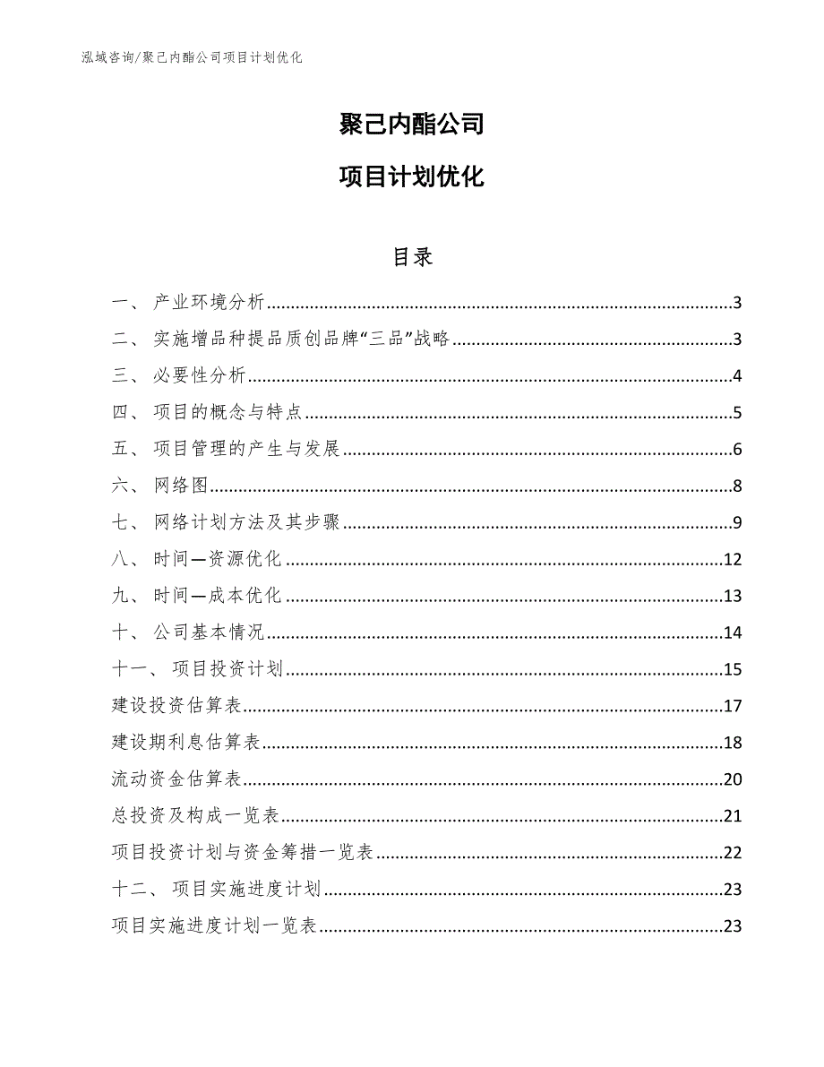 聚己内酯公司项目计划优化_范文_第1页