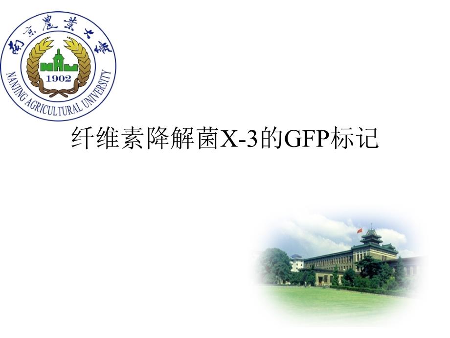 绿色荧光蛋白gfp标记方法_第1页