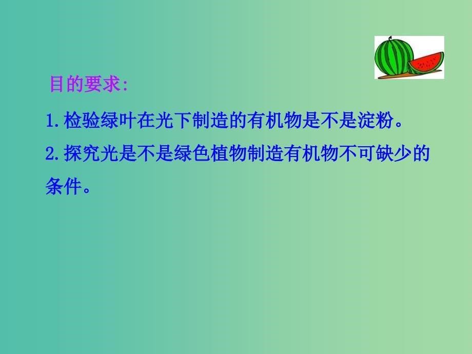 七年级生物上册 3.4 绿色植物是生物圈中有机物的制造者教学课件 新人教版.ppt_第5页